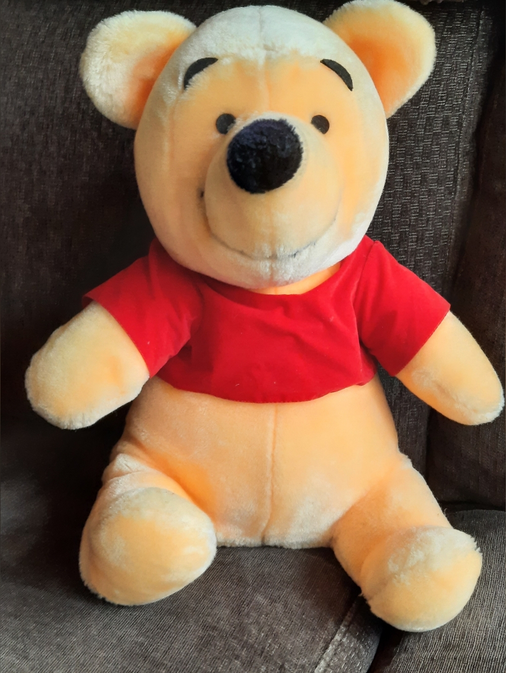 Vintage Disneyland Winnie the Pooh Plush Korea